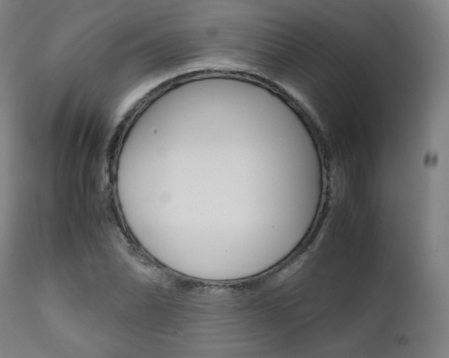 X0000112091070200908041042