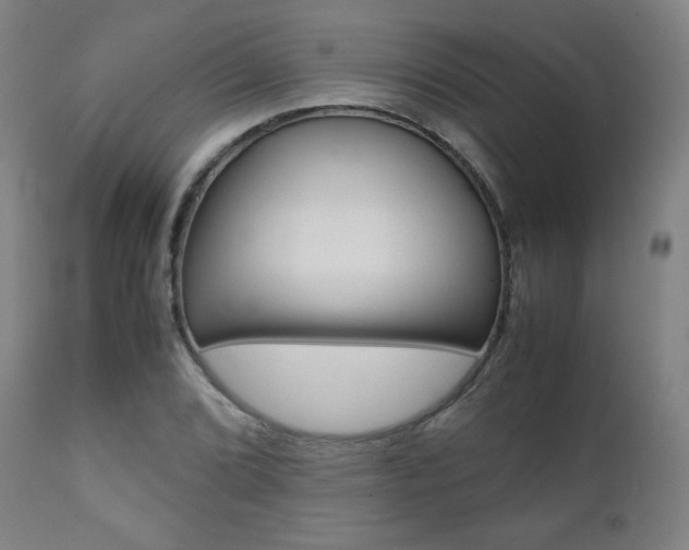 X0000112091072200908041042
