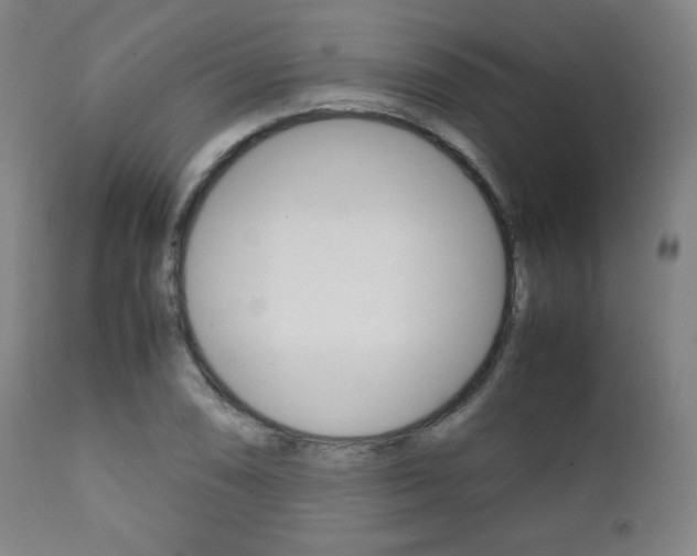X0000112091074200908041042