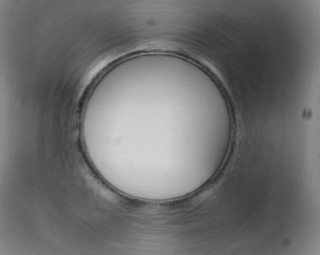 X0000112091075200908041042