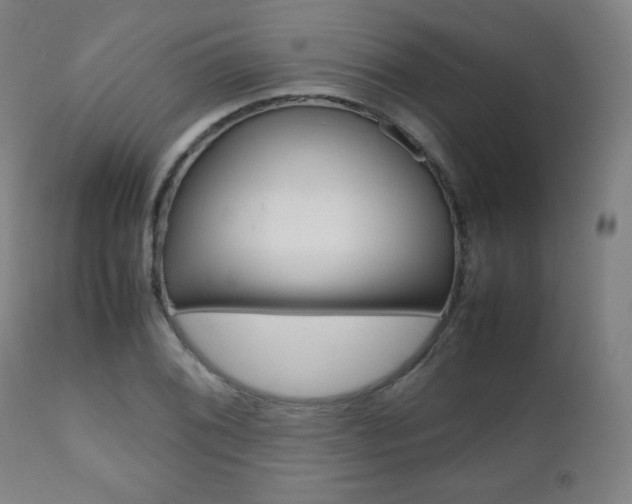 X0000112091076200908041042