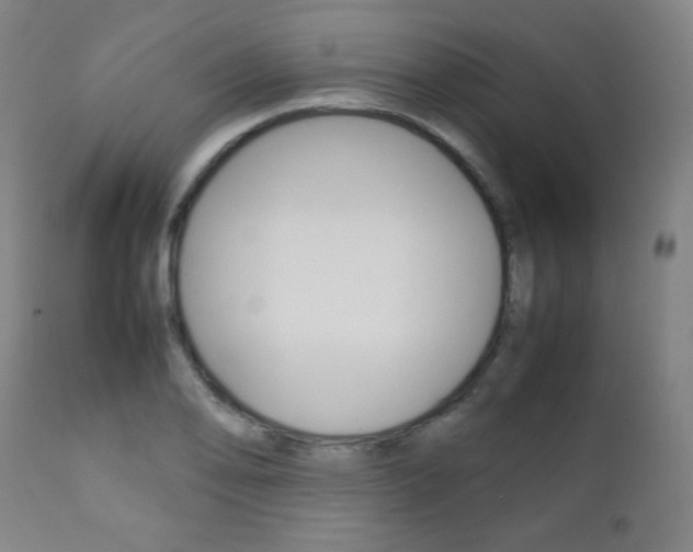 X0000112091078200908041042