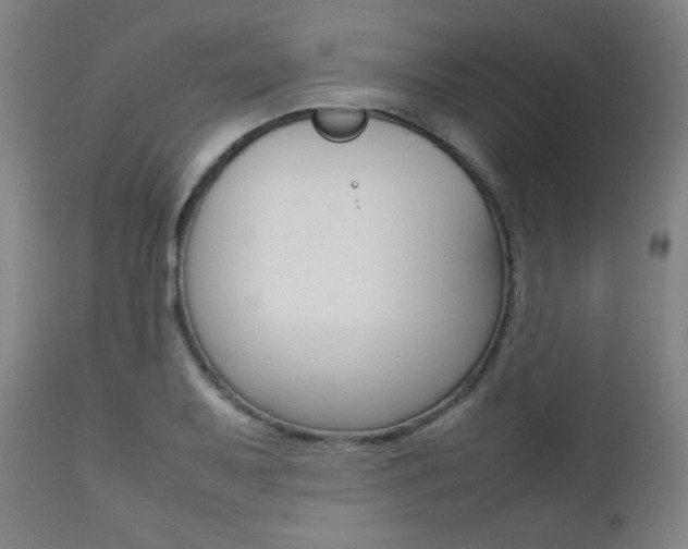 X0000112091079200908041042