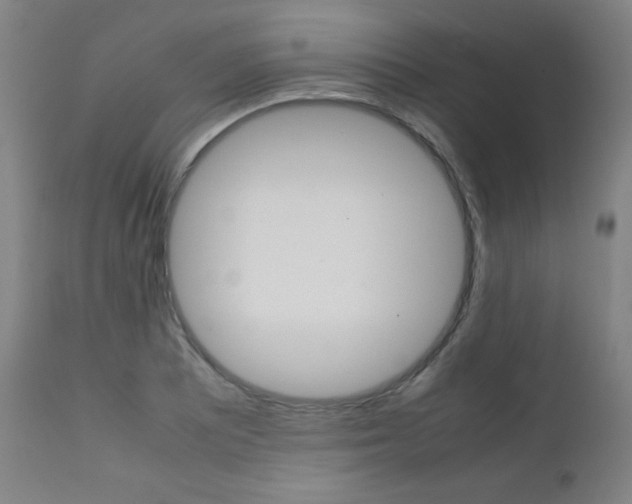 X0000112091081200908041042