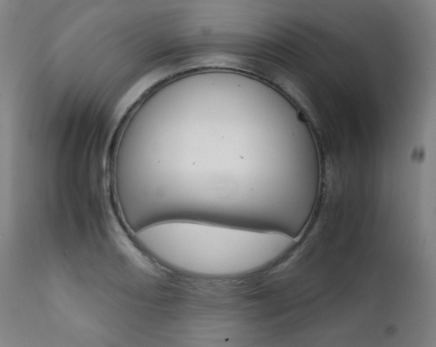 X0000112091082200908041042