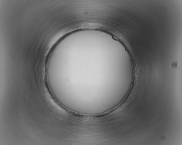 X0000112091083200908041042