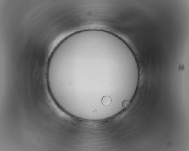 X0000112091086200908041042