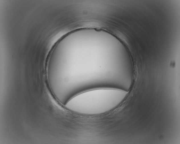 X0000112091087200908041042