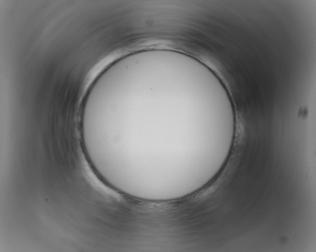 X0000112091090200908041042
