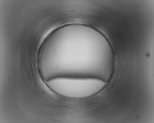 X0000112091091200908041042