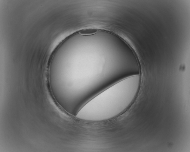 X0000112091093200908041042