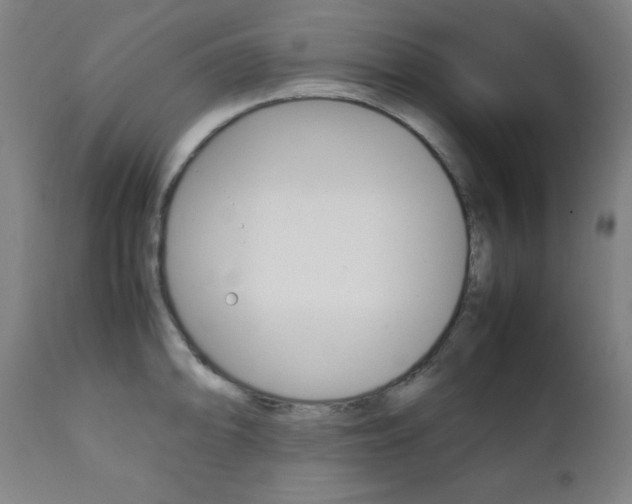 X0000112091094200908041042