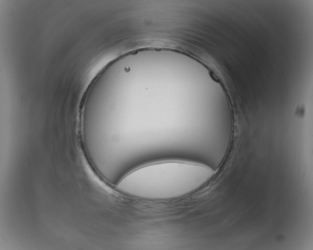 X0000112091095200908041042