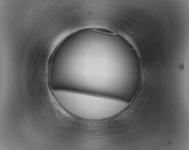 X0000112091096200908041042