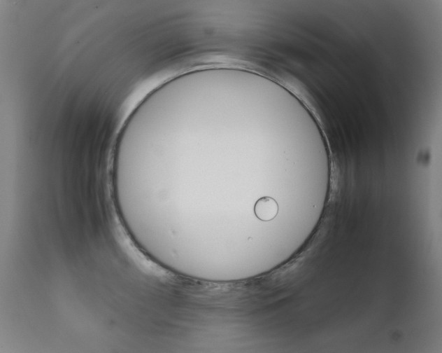 X0000112091098200908041042