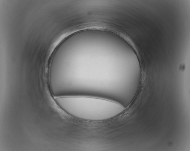 X0000112091099200908041042