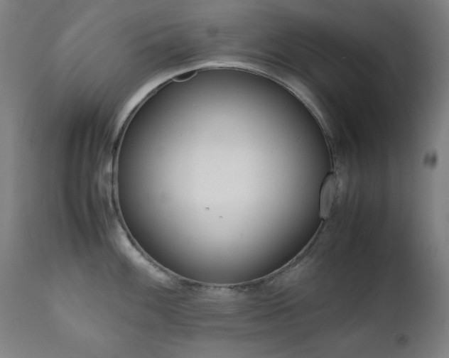 X0000112091100200908041042