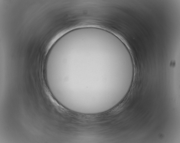 X0000112091101200908041042