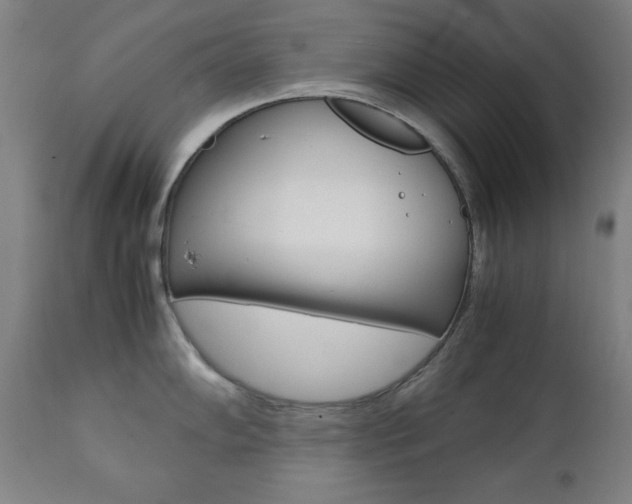 X0000112091102200908041042