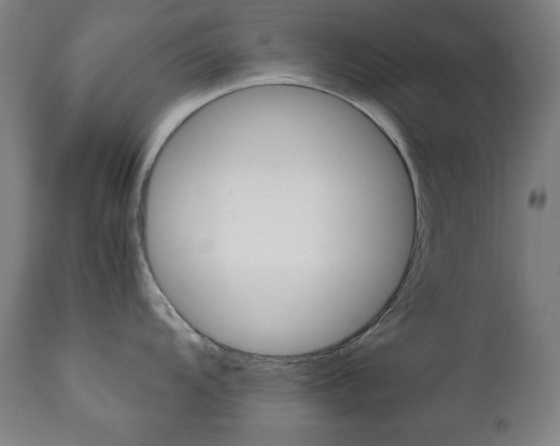 X0000112091104200908041042