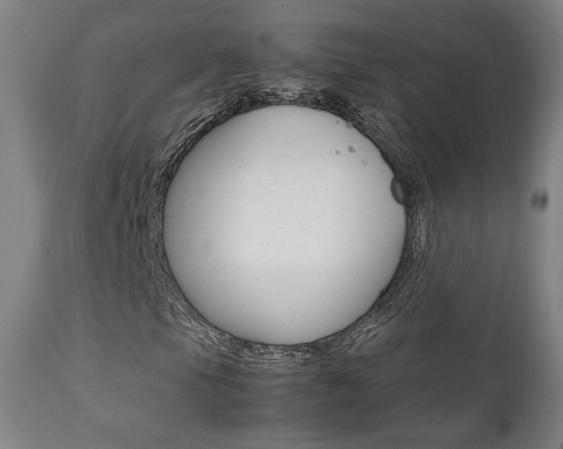 X0000112091105200908041041