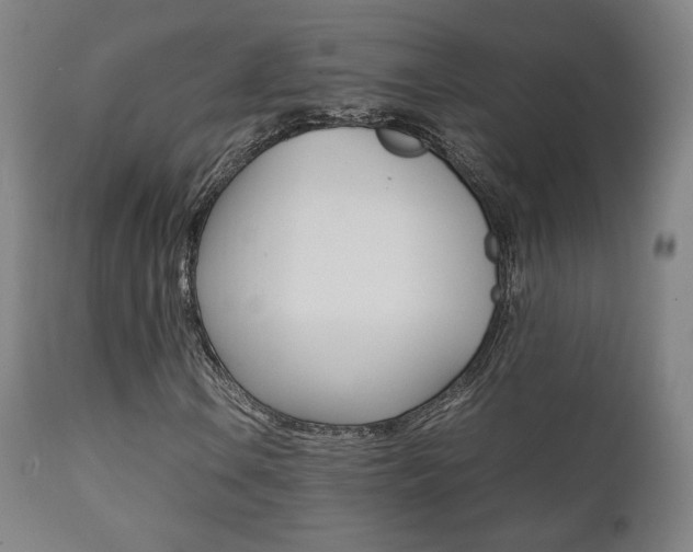 X0000112091106200908041041
