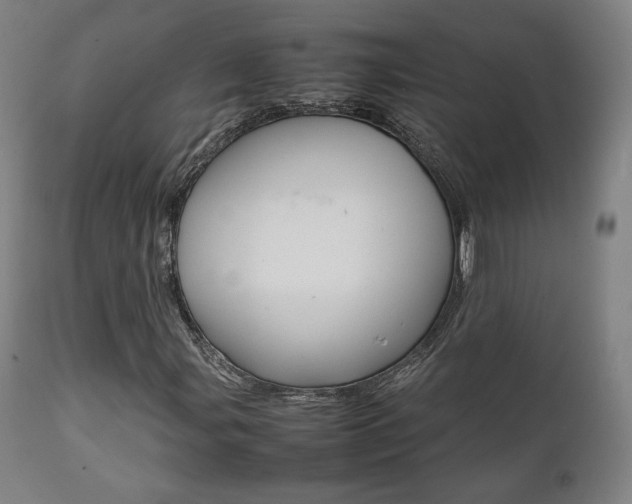 X0000112091107200908041041