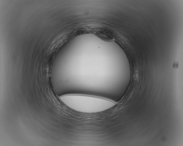 X0000112091108200908041041