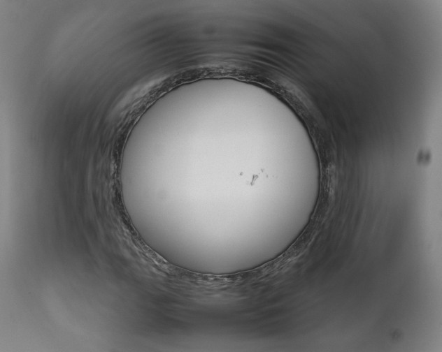 X0000112091111200908041041
