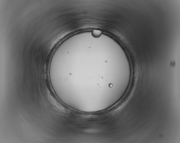 X0000112091113200908041041
