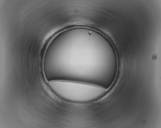 X0000112091114200908041041