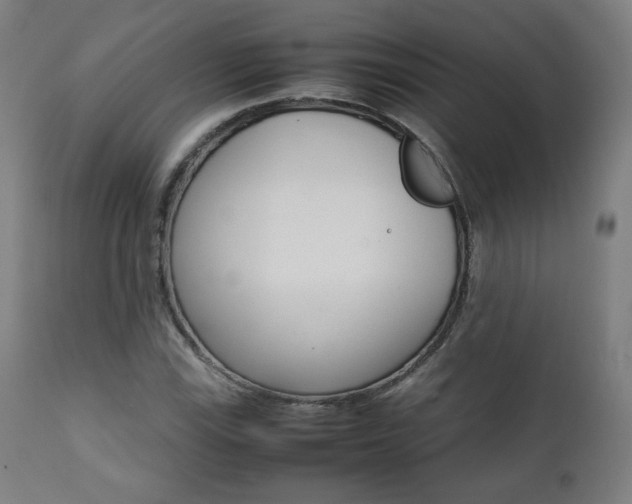 X0000112091115200908041041