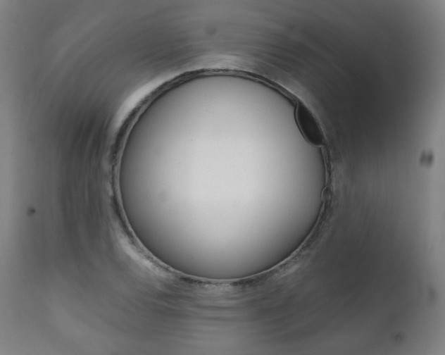 X0000112091120200908041041