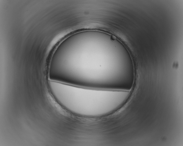 X0000112091122200908041041