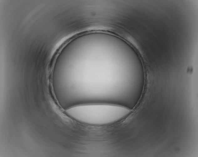 X0000112091124200908041041
