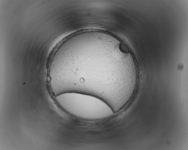 X0000112091125200908041041