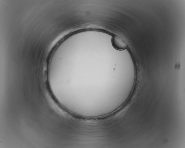 X0000112091126200908041042