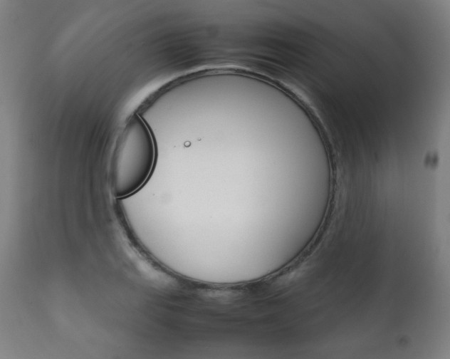 X0000112091127200908041042