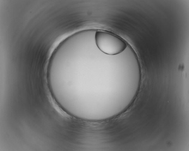 X0000112091128200908041042