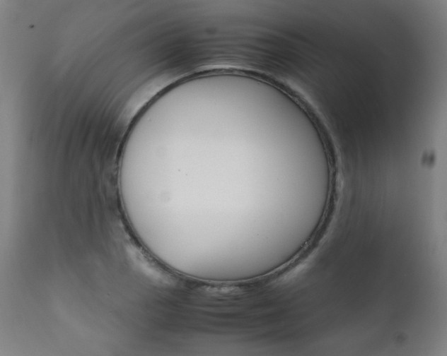 X0000112091129200908041042