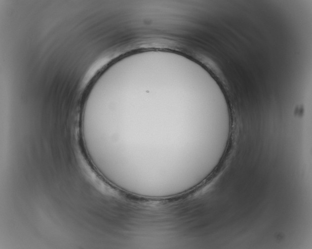 X0000112091130200908041042