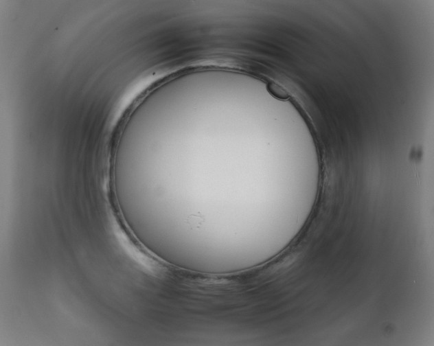 X0000112091131200908041042