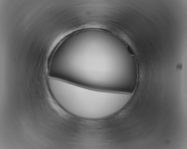 X0000112091132200908041042