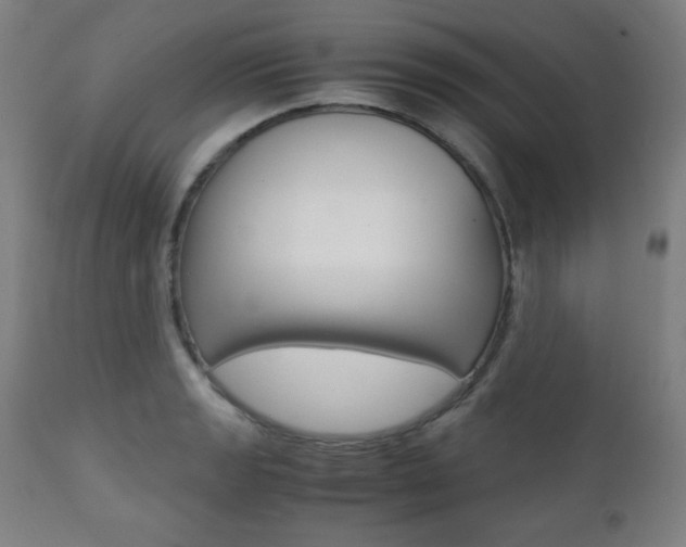 X0000112091133200908041042
