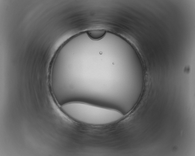 X0000112091135200908041042