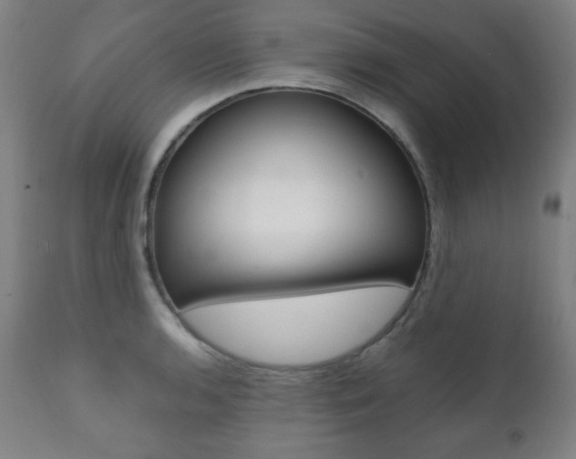X0000112091136200908041042