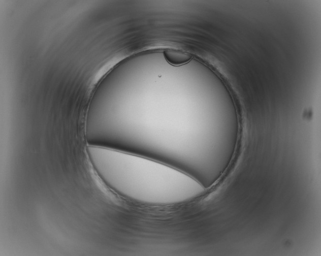 X0000112091137200908041042