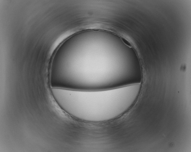 X0000112091138200908041042