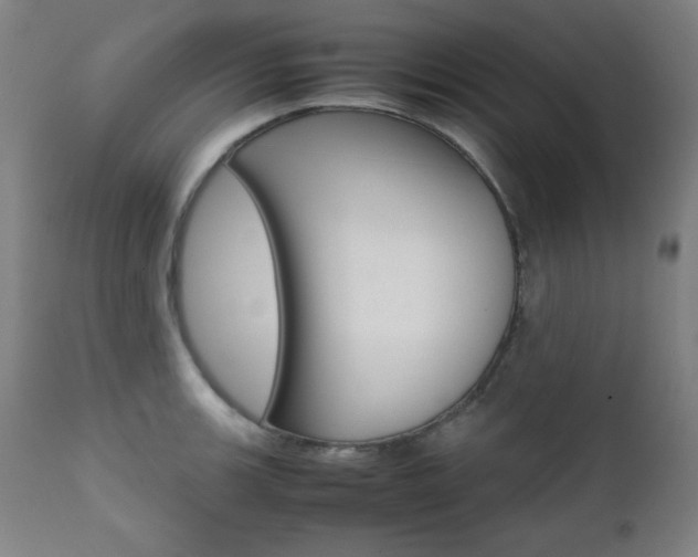 X0000112091139200908041042