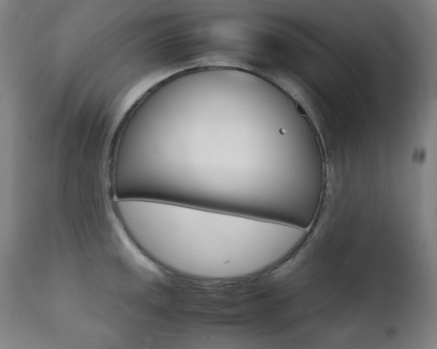 X0000112091141200908041042